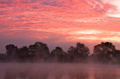 Living in a pink world 23_5010971559_l.jpg